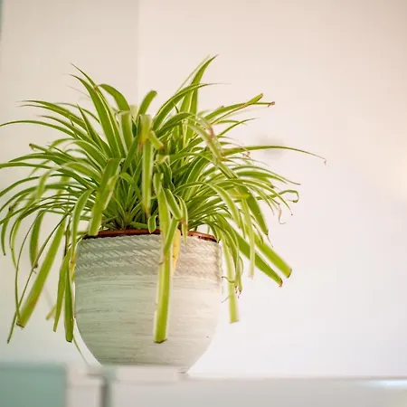 Bonito Apto En Calan Bosch A9 Apartment